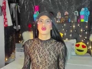 Screenshot from scarletwhisper_ webcams