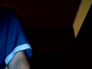 Screenshot from schnibschnab webcams