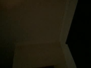 Screenshot from scotibeech webcams