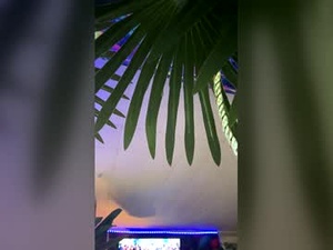 Screenshot from seanplushouse webcams