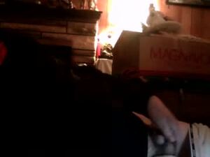 Screenshot from seanstiffy3916 webcams