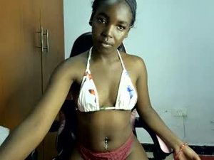 Screenshot from seatlally webcams