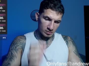 Screenshot from sebastian_muss webcams