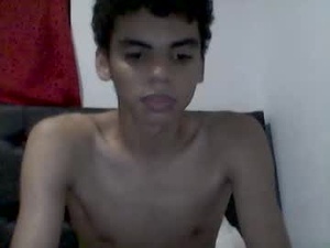 Screenshot from sebporta webcams
