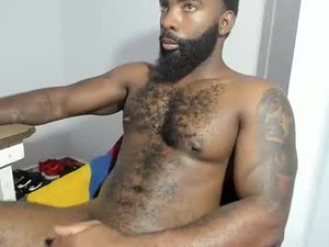 Screenshot from shakurspeare_ webcams