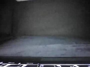 Screenshot from shamefullyshort webcams