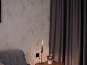 Screenshot from shandejarnett webcams