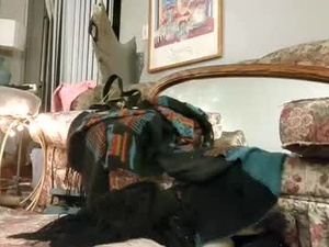 Screenshot from sheasly12 webcams