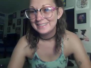 Screenshot from sheridenault webcams