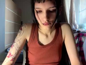 Screenshot from shirakranendonk webcams
