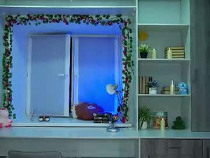 Screenshot from sibylra webcams