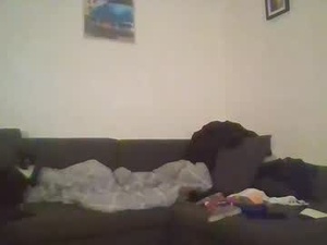 Screenshot from silviedwt webcams