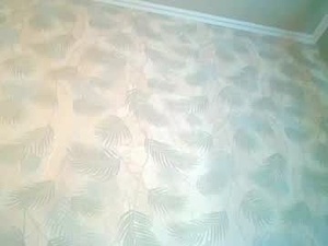 Screenshot from simbo_cool webcams