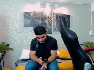 Screenshot from simon_teixeira webcams