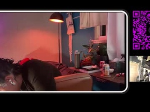 Screenshot from sirmrwombat webcams