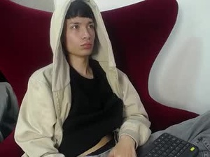 Screenshot from skinny_office webcams