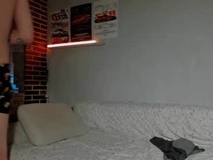 Screenshot from smegooool webcams