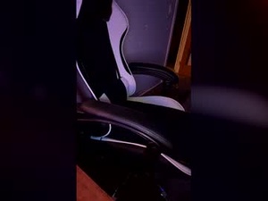 Screenshot from smkbustr webcams