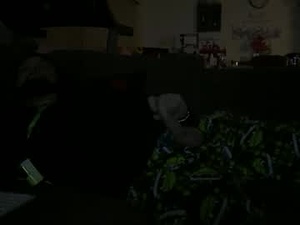 Screenshot from smoothtactix webcams