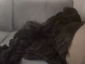 Screenshot from snowboard503 webcams