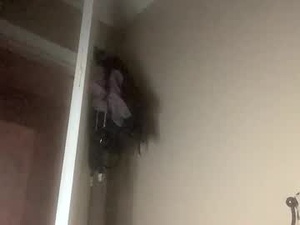 Screenshot from somcircles webcams