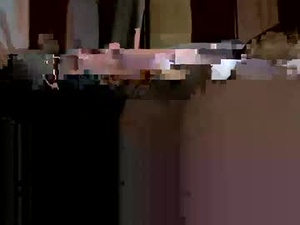 Screenshot from springer007 webcams