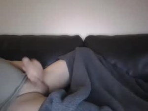 Screenshot from spritzer47 webcams