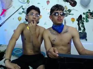 Screenshot from sr_alexander01 webcams