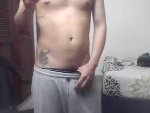 Screenshot from srincognito666 webcams
