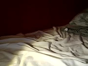 Screenshot from st1eve webcams