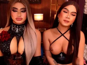 Screenshot from stellaperkins webcams