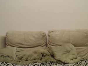 Screenshot from stepmommy19 webcams
