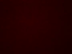 Screenshot from stiles91 webcams