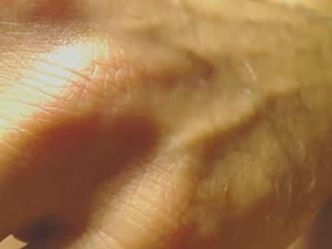 Screenshot from stivglatpik webcams