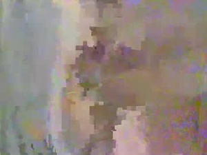 Screenshot from strip2stroke webcams