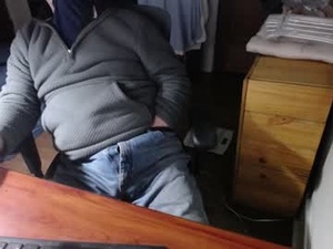 Screenshot from subbrian webcams