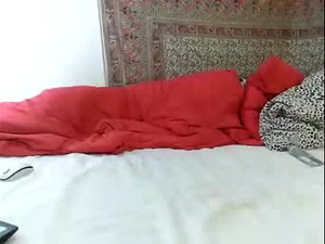 Screenshot from sunnynatury webcams