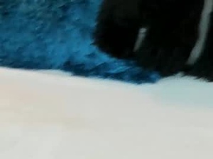 Screenshot from susanadams1 webcams