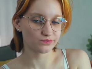 Screenshot from synnefarmer webcams