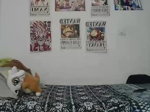 Screenshot from t1gragas webcams