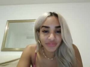 Screenshot from tallywright webcams