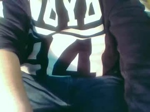 Screenshot from teamnorden991 webcams