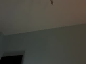 Screenshot from tenebris_core webcams