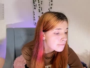 Screenshot from terripolnau webcams
