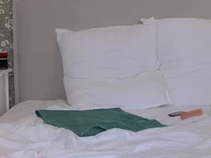 Screenshot from tessaquins webcams