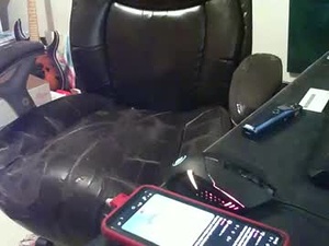 Screenshot from thatbuzzedchub webcams