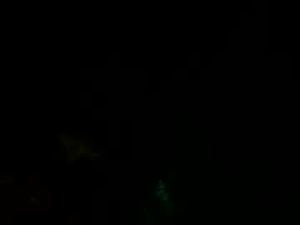 Screenshot from thatsmynet webcams