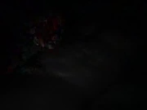 Screenshot from the_loneranger webcams