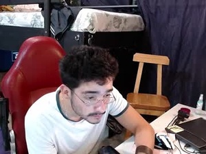 Screenshot from the_nerdy_wizard webcams