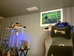 Screenshot from theehhteam webcams